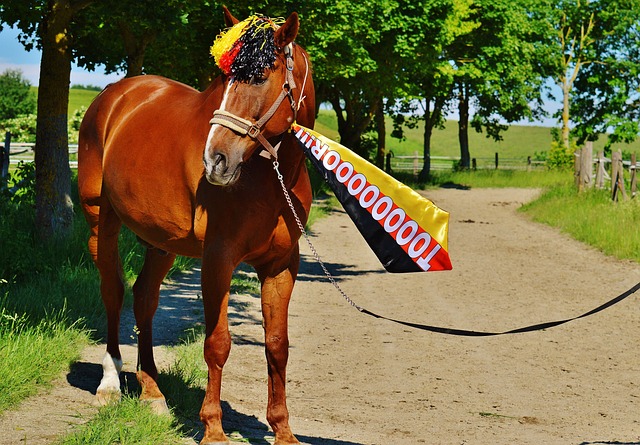 便是无数细 便是无数细