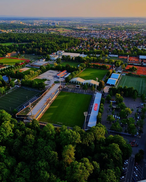 组织性和团 组织性和团