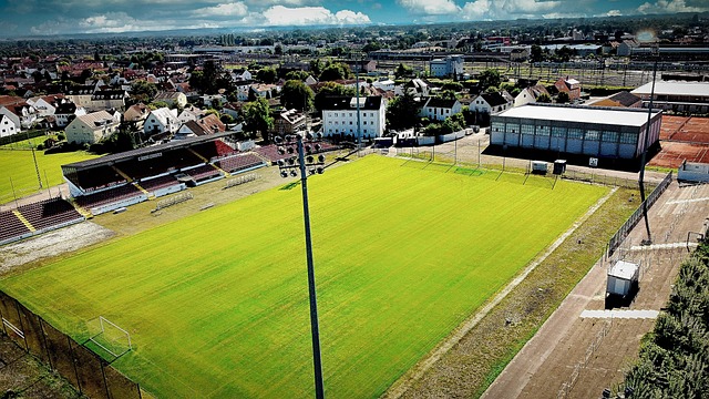 了多项策略 了多项策略