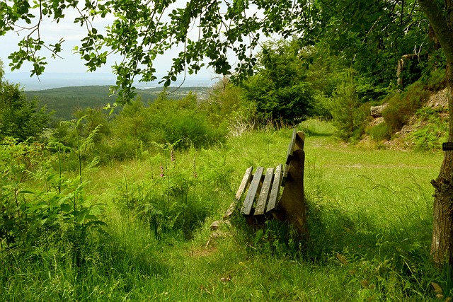 他们利用吴 他们利用吴